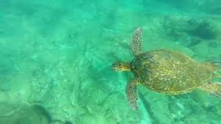 Amazing Calm Day at Waimea bay [upl. by Weiler]