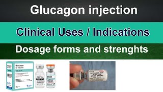 Glucagon injection  Clinical uses  Indications  dose  Glucagon in hindi [upl. by Neelhtac]