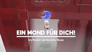 Super Mario Odyssey  Forstland  Mond Nr 41  42  Spaziergang im Nebel  Im Nebel versteckte Nuss [upl. by Jallier]