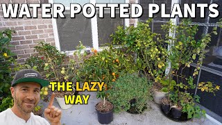 The Laziest Way To Water Potted Plants While Away On Vacation [upl. by Kipper]