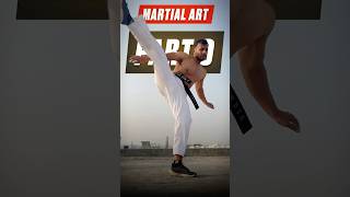 Part 9 Stamina Drills😰 stamina martialartstraining training youtubeshorts martialartsforlife [upl. by Riggins]