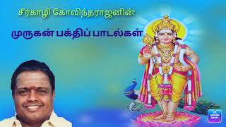 சீர்காழி கோவிந்தராஜன் முருக பக்திப் பாடல்கள்  Seerkali Govindarajan Muruga Bakthi Songs [upl. by Wartow]