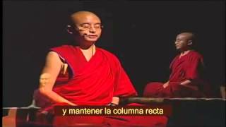 Yongey Mingyur Rinpoche 8 Realización [upl. by Yengac]