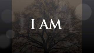 i am cece winans lyrics [upl. by Scully]