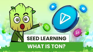 What is TON Blockchain Simply explained for Beginners  SEED Learning 6 [upl. by Hylton233]