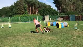 Rask  Agility Camp with Lucie Glejdurova [upl. by Jaehne]