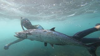 Shoreline Spearfishing  Snapper Mackerel and Lionfish [upl. by Cathy]