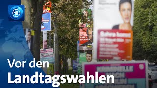 Vor den Landtagswahlen in Thüringen und Sachsen [upl. by Ennire687]