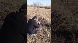 P35 airgun shot youtubeshorts birdhunter birdhunting [upl. by Christianity]