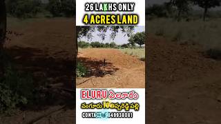 4 Acres Agricultural Land For Sale Eluru Vijayawada AP AgricultureLand VijayawadaLand EluruLand [upl. by Eduino]