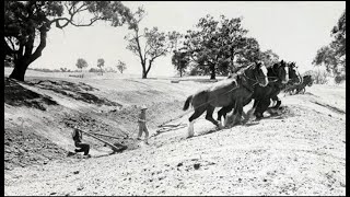 Fossils 4x4 Adventures Trip through the Wimmera and Mallee [upl. by Raddatz421]