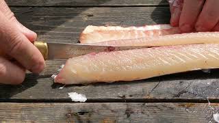 Filleting Northern Pike  Quick Easy Boneless [upl. by Oirtemed572]