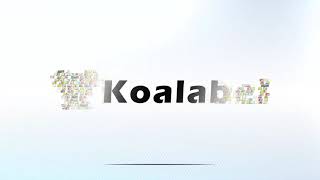 Solar Label Supplier Koalabel [upl. by Minsat]