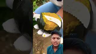 Chinese calendar कैसेकैसे fal ugate Hain 🍊🍈🍉🥭shortvideo youtube trending viralvideo fruit new [upl. by Ardnassak962]