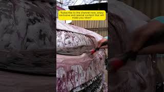 Detailing The CHEAPEST But Most EFFECTIVE Cleaning Foam EVER… 86 asmr shorts cleancar [upl. by Amber]