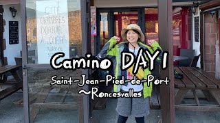 Camino DAY1 SaintJeanPieddePort〜Roncesvalles [upl. by Petigny]