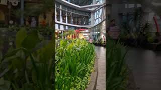 Neo Soho Mall Jakarta mall shorts jalanjalan [upl. by Scuram]