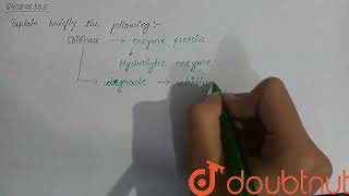 Explain briefly the following Chitinase  CLASS 12  PRINCIPLES AND PROCESSES IN BIOTECHNOLOGY [upl. by Cianca]