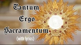 Tantum ergo Sacramentum lyrics Holy Hour HymnEucharistic Adoration Chant Catholic [upl. by Ayoral]