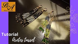 Aretes Tassel [upl. by Kciredes155]