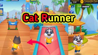 Billi Wala Game Billi Wala Game Billi Wala Game  Cat runner gameplay [upl. by Willner187]