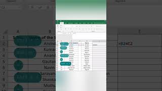 Find duplicate entries in Excel [upl. by Bussy185]