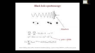 Vitor Cardoso Black hole spectroscopy [upl. by Nialb338]