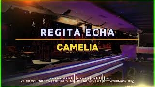 Camelia  Regita Echa  Dj Remix  Sudahlah Jangan Menangis lagi  full bass 2024 [upl. by Almire836]