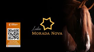 Leilão Haras Morada Nova [upl. by Anelys547]