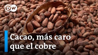 Se disparan los precios del cacao por la sequía en África Occidental [upl. by Anitsud]