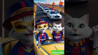 عملةهامستر تعلمصح cat automobile funny catlover animals cute cutecat coin [upl. by Amar499]