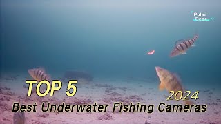 TOP 5 Best Underwater Fishing Cameras 2024 [upl. by Naie]