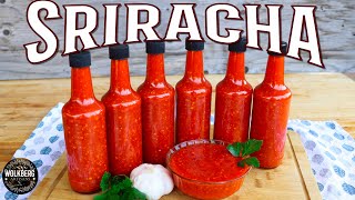 How to make Sriracha Hot Sauce  Homemade Chilli sauce recipe  Fermented Hot sauce recipe [upl. by Gilges]