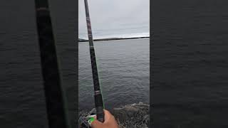 Barview Jetty Fishing Off The Rocks 🪨 🎣 [upl. by Lundquist]