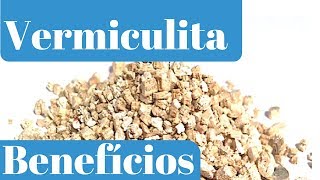 Conheça os Principais Benefícios da Vermiculita para as Plantas [upl. by Sev]