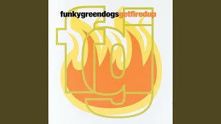 Night Of The Funky Green Dogs From Outer Space [upl. by Ancel]