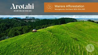 Arotahi Agribusiness  Wairere Afforestation  Northland [upl. by Irdua697]