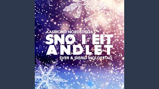 Snø i eit andlet [upl. by Shirberg159]