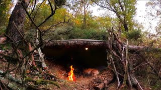 Bushcraft Shelter UNDER FALLEN TREE  Solo Survival Camping Outdoor Cooking Documentary DIY ASMR [upl. by Bamberger652]