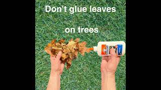 Dont glue leaves on trees [upl. by Laeno951]