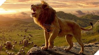 Simba full movie  Simba videos  Simba vs🦁lion  Sheimba cartoon  Simba 2024  What is simba [upl. by Mairhpe383]