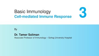 Basic Immunology  Cellmediated Immune Response Part 3 [upl. by Marja]