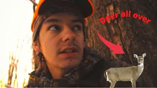 Self Filmed Crossbow Hunt Indiana WhiteTail 2020 EP 2 [upl. by Eremaj190]