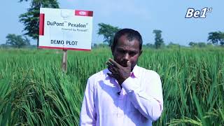 Dupont  Pexalon Testimonial  Chhattisgarh [upl. by Naesyar]