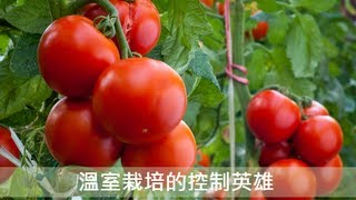 研華溫室栽培的控制英雄，AdvantechChinese [upl. by Elohcin]