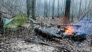 CAMPING IN THE RAIN  Alone in the Woods  SOLO Tarp Camping [upl. by Ynffit]