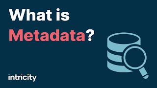 What is Metadata [upl. by Kowalski]