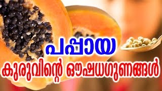 പപ്പായ കുരുവിന്റെ ഔഷധഗുണങ്ങൾ  Health Benefits of Papaya Seeds  TASTY WORLD [upl. by Stinson193]