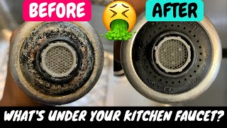 How To Clean Faucet Head Fast Remove Hard Water DepositsStainsLime Build Up Natural Method [upl. by Ahsuas409]