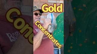 How to Clean Up Gold Concentrates shorts [upl. by Yard572]